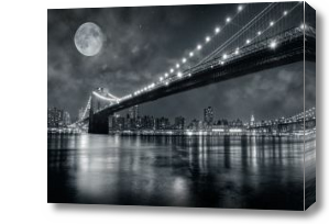 Картина Черно белый мост под луной