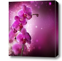 Картина Орхидея абстракт в розовом цвете