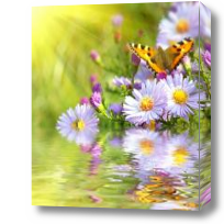 Картина Цветы, вода, бабочка