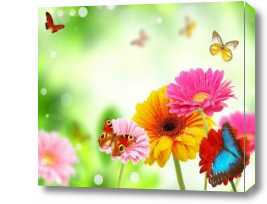 Картина Цветы и бабочки