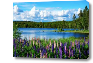 Картина Летний пейзаж сказочного озера