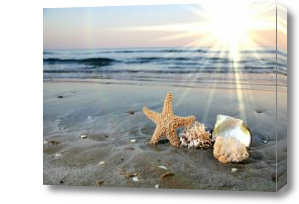 Картина Море, песок, ракушки