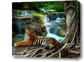 Картина тигр у водопада
